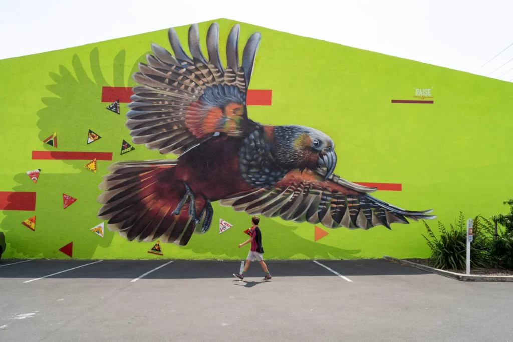 Kea mural in Stoke