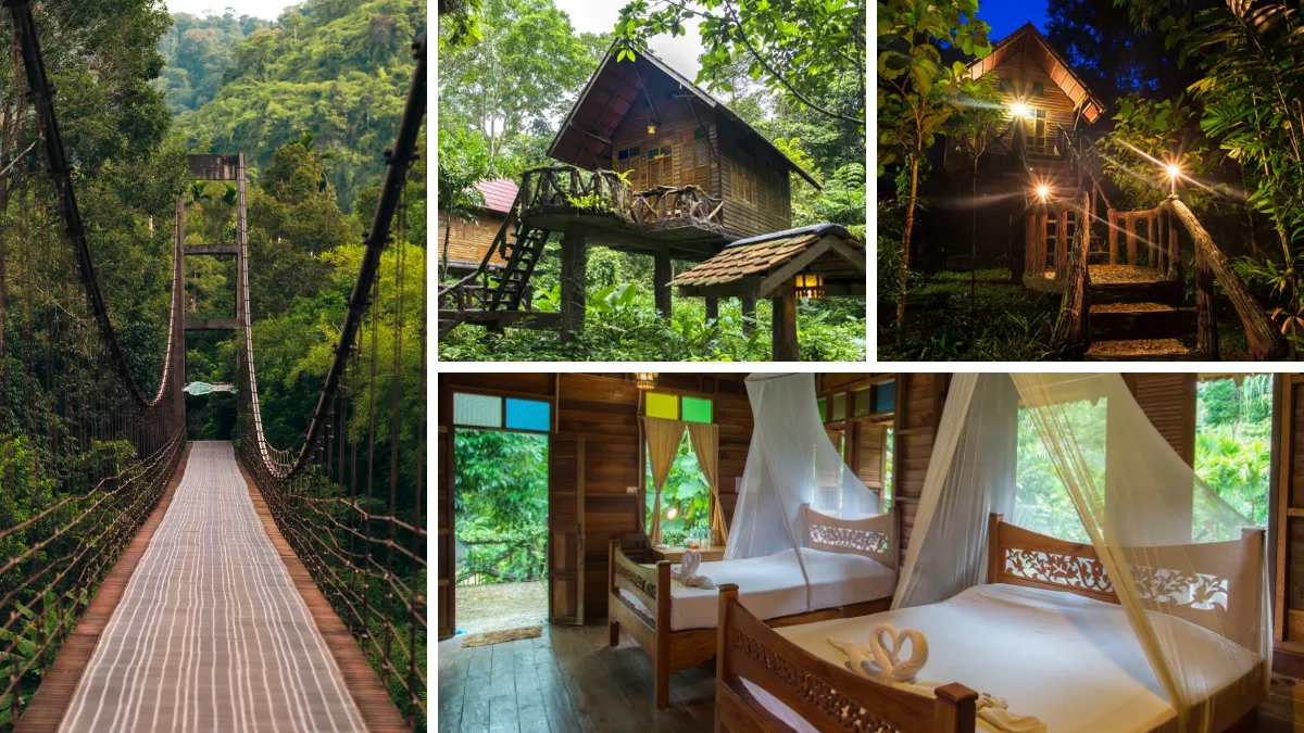 Suspension bridge, treehouse cabins, and a rustic jungle lodge bedroom
