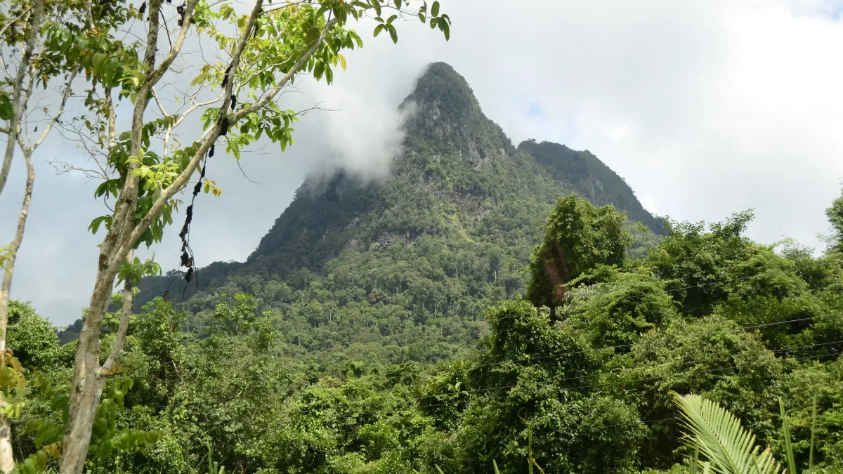 Lush green mountain peak partly covered by clouds above dense tropical forest