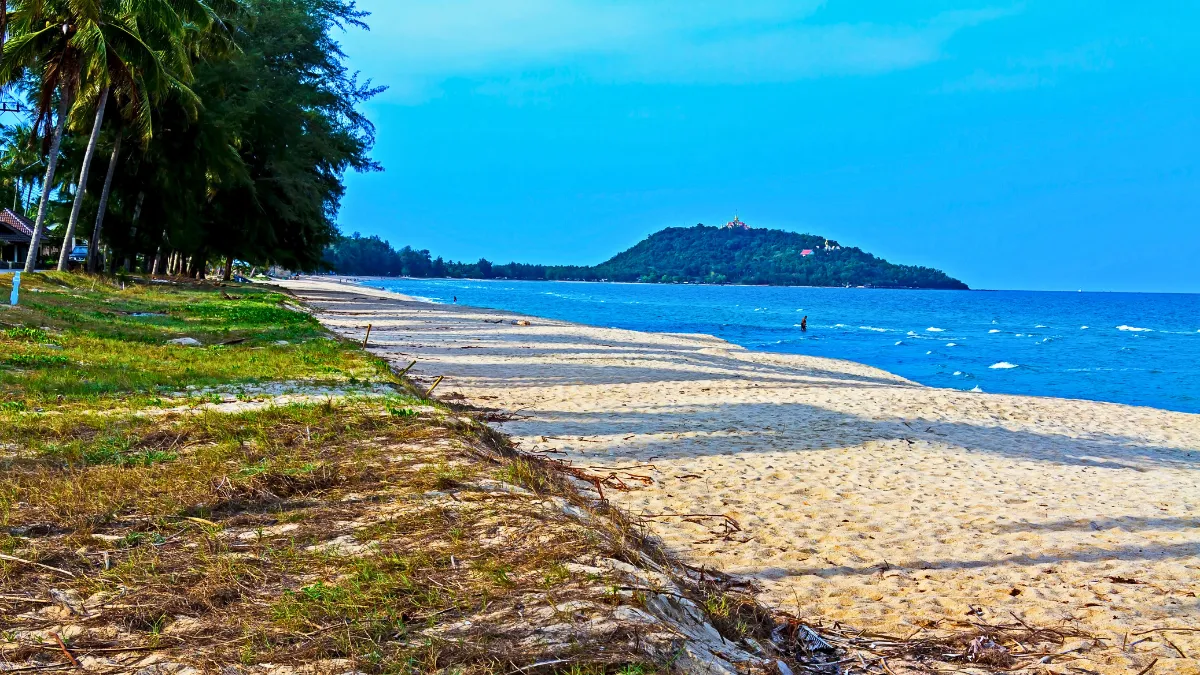 Sandy tropical beach with palm trees, blue water, and a small island in the distance