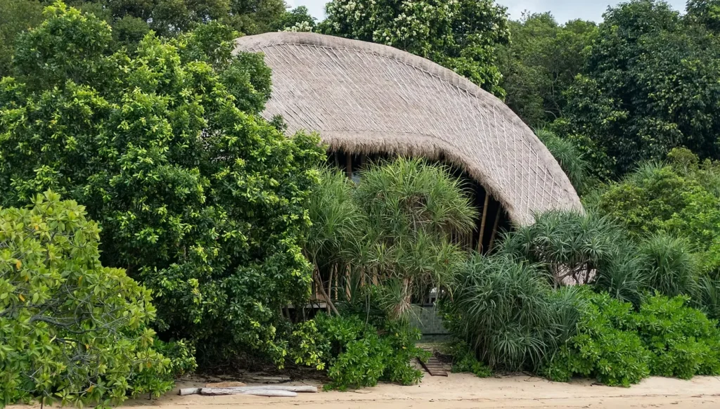 Thatched-roof hut partially hidden by dense tropical trees and shrubs near a sandy beach