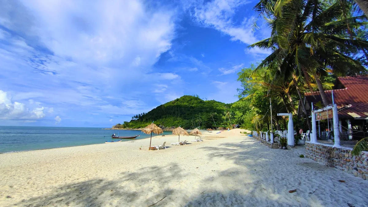 Tropical beach with white sand, palm trees, thatched umbrellas, and a calm blue sea