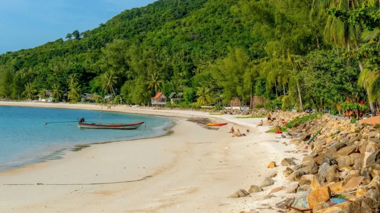 Tropical beach with a small boat in calm water, palm trees, and a green hillside behind it