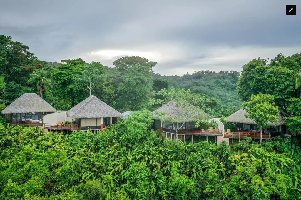 Thatched-roof cabins nestled in dense tropical rainforest under a cloudy sky