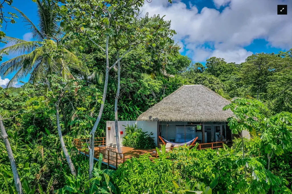 Tropical villa with a thatched roof and wooden deck surrounded by dense jungle greenery