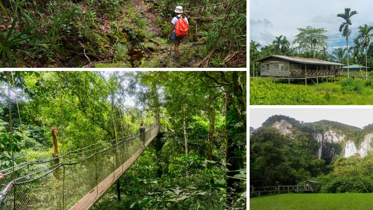 Collage of a jungle hike, a suspension bridge, a rural cabin, and limestone cliffs in lush forest