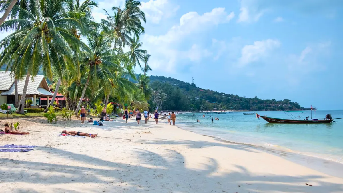 Tropical beach with palm trees, people relaxing, and a boat on calm blue water