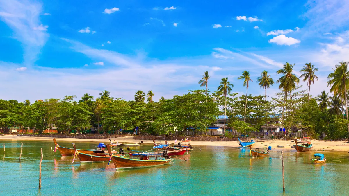 Fishing boats anchored in a tropical bay near a palm-lined beach