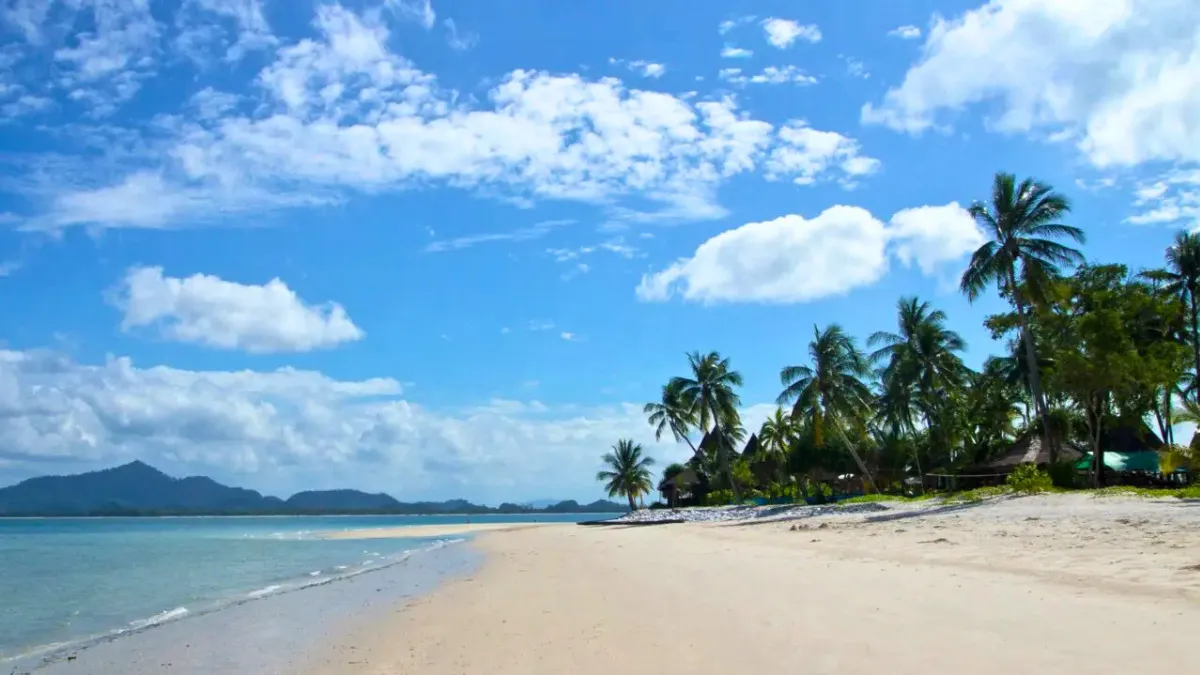 Tropical beach with palm trees, calm water, and a blue sky with clouds