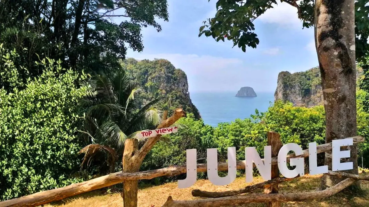 Scenic jungle overlook with ocean cliffs and a small island in the distance, marked “JUNGLE” and “top view”