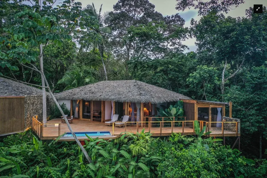 Tropical treehouse villa with a thatched roof, deck, and small pool surrounded by dense jungle