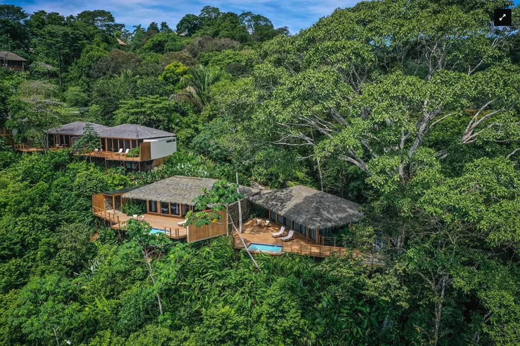 Treehouse-style villas in a lush tropical forest