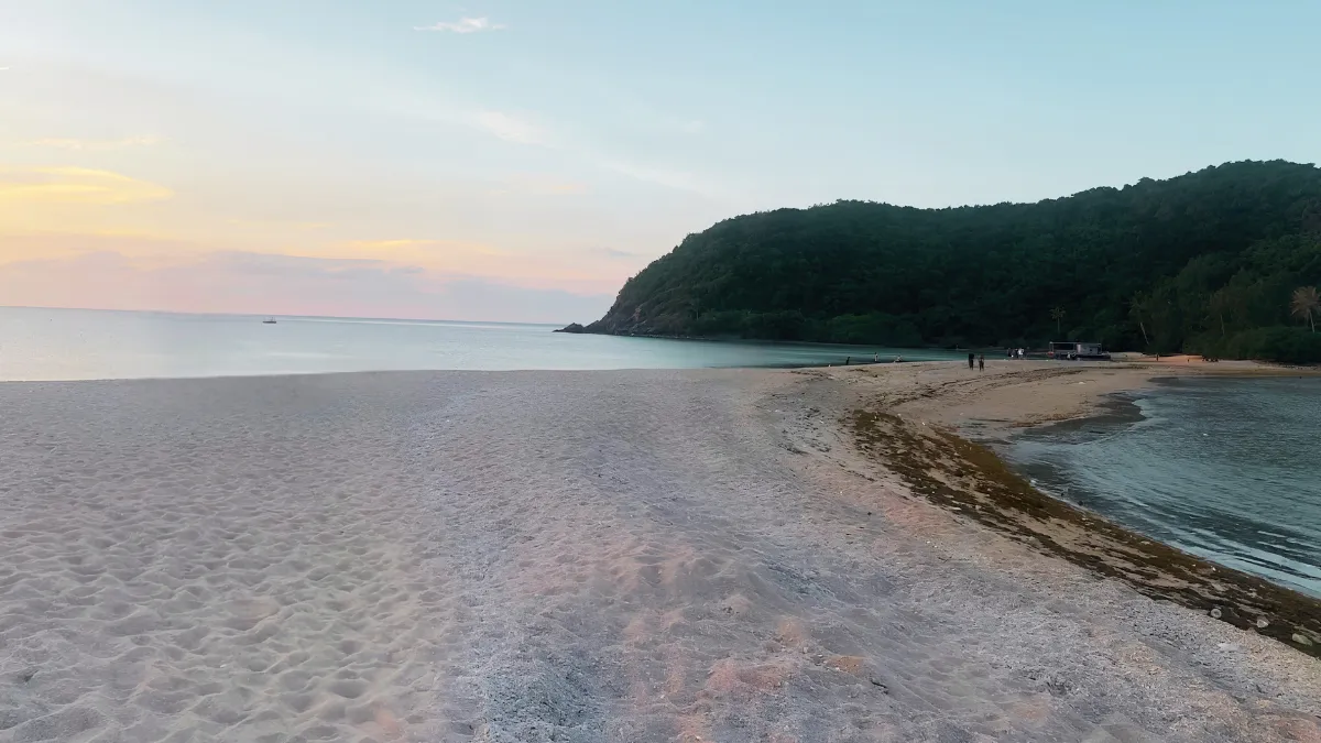 Sandy beach curving around a calm bay at sunset, with a forested headland in the distance
