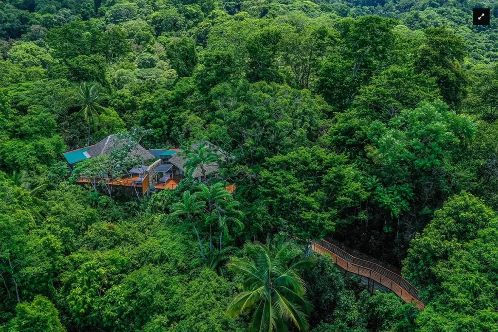 A house and wooden walkway nestled in dense tropical forest