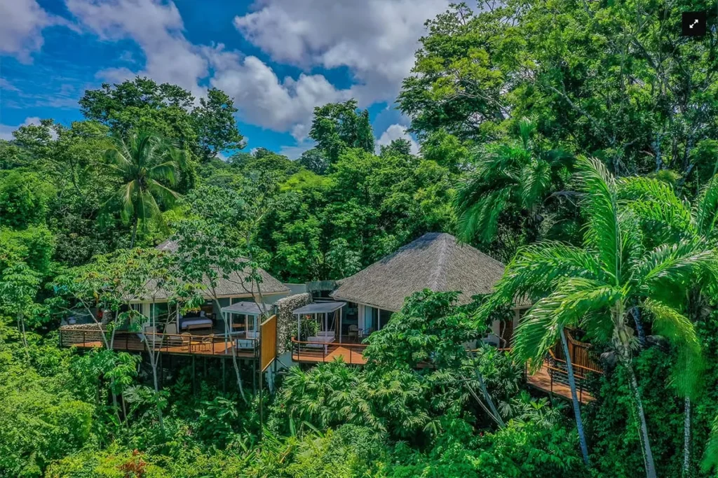 Tropical jungle resort villas with thatched roofs and wooden decks among dense green trees