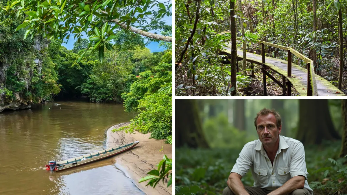 Collage of a tropical river with a longboat, a boardwalk through forest, and a man sitting in the woods