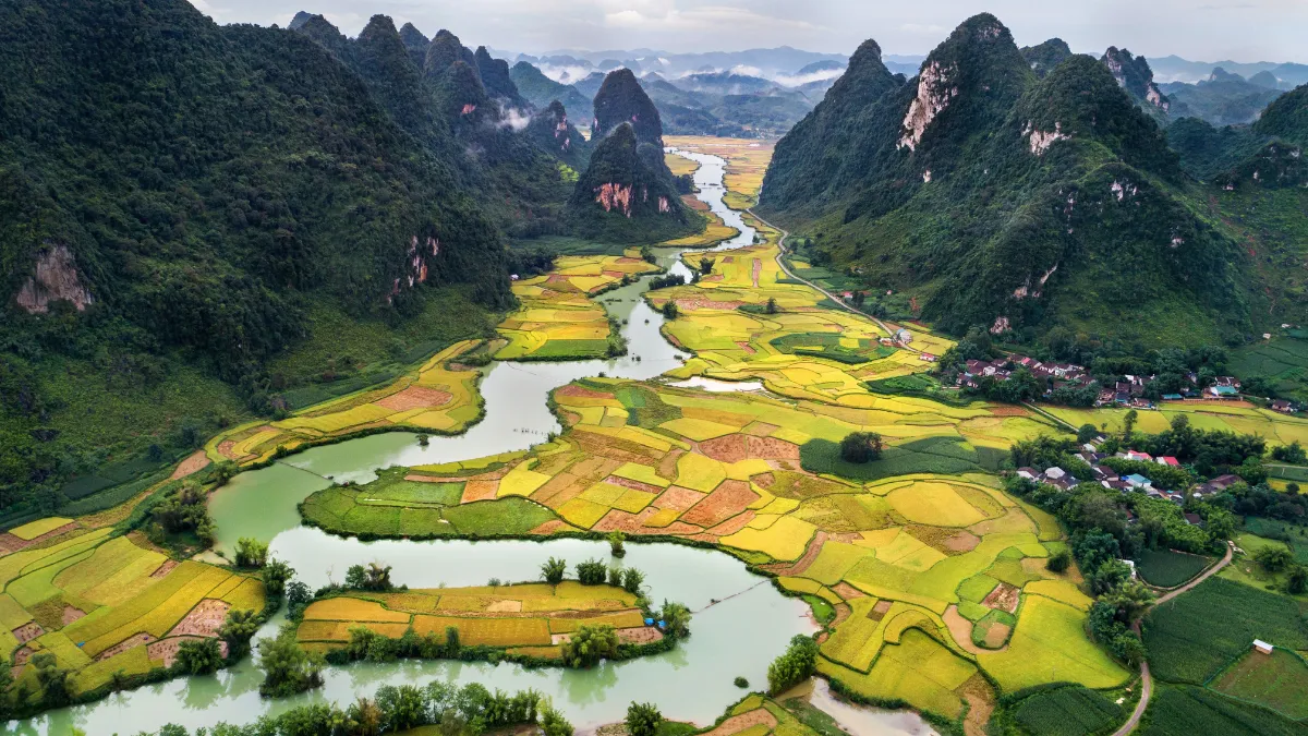 A winding river runs through patchwork rice fields between steep green karst mountains