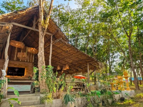Rustic open-air café with a thatched roof in a wooded setting