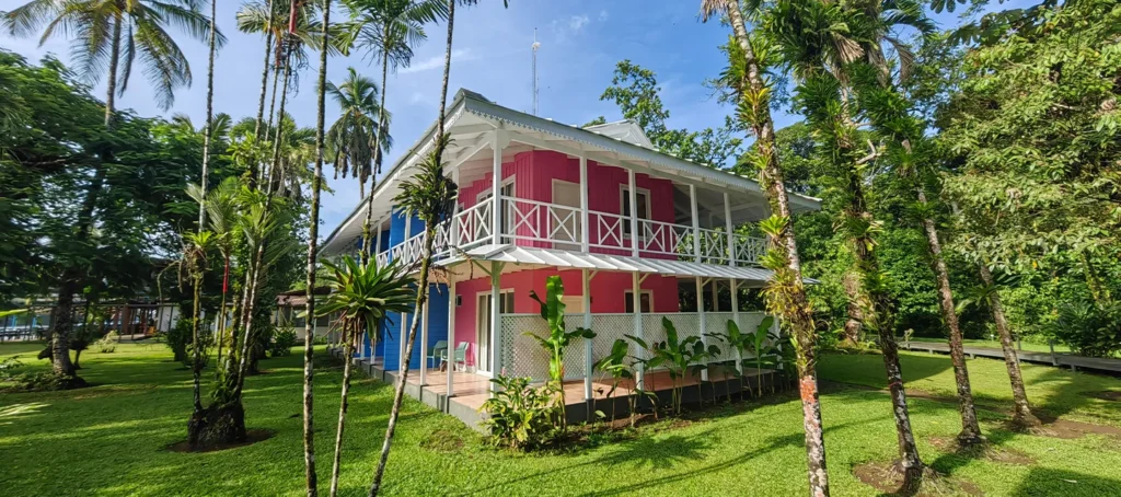 Colorful tropical house with pink and blue walls surrounded by palm trees and lush greenery