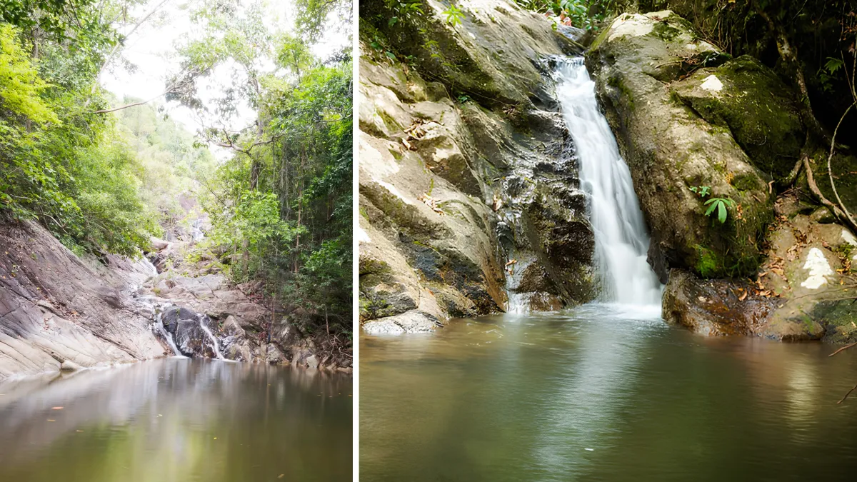 Two small waterfalls in a forest pool among rocks and trees
