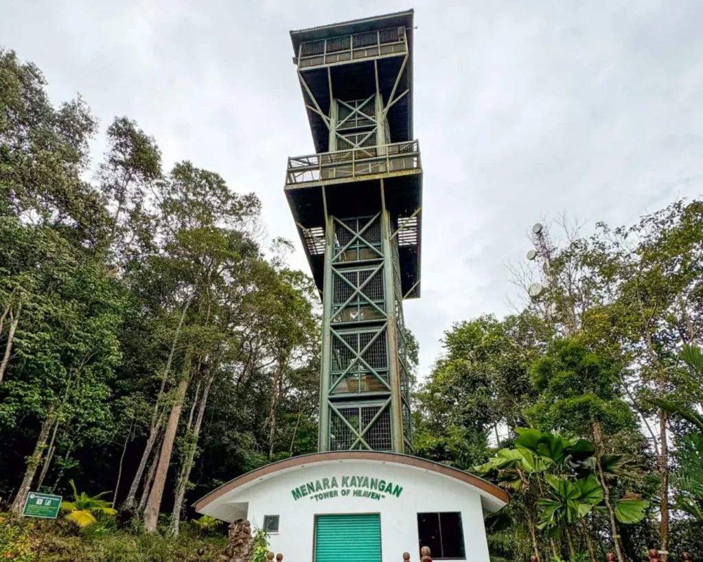 Menara Kayangan observation tower in a forest clearing
