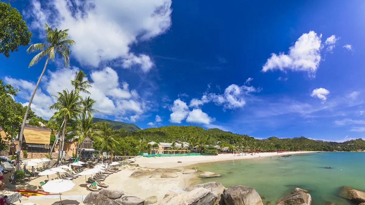 Tropical beach with palm trees, white sand, and turquoise water under a bright blue sky