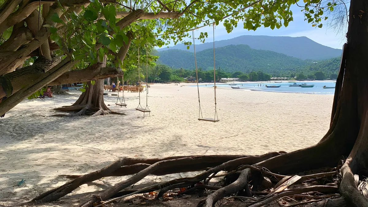 Shaded beach with tree swings, white sand, boats offshore, and mountains in the distance