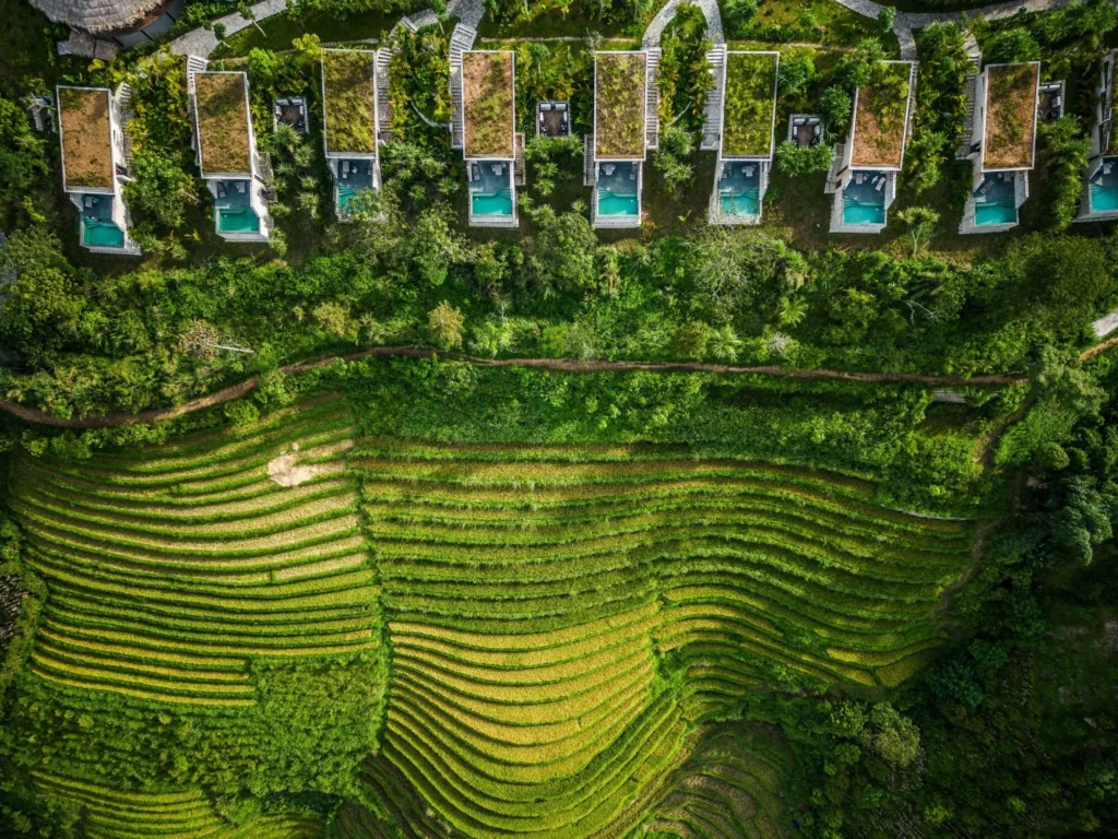 Aerial view of hillside villas beside terraced rice fields and dense tropical greenery