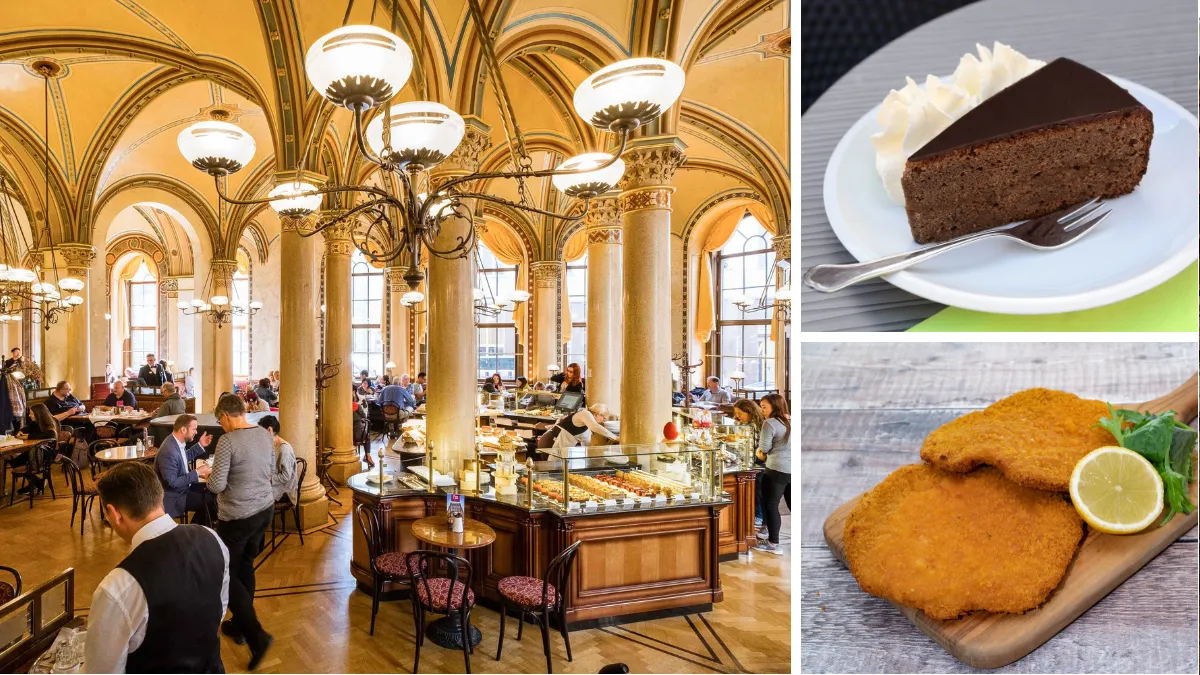 Vienna coffeehouse, sachertorte and Wiener Schnitzel