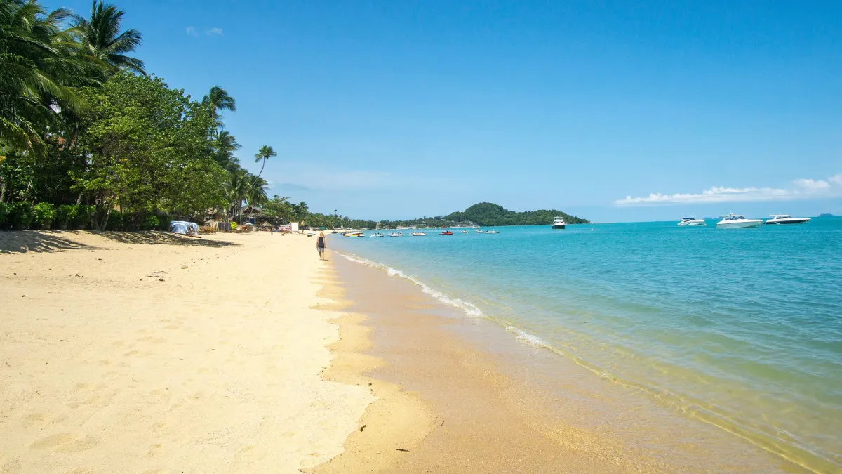 Sandy tropical beach with palm trees, calm blue water, and boats offshore