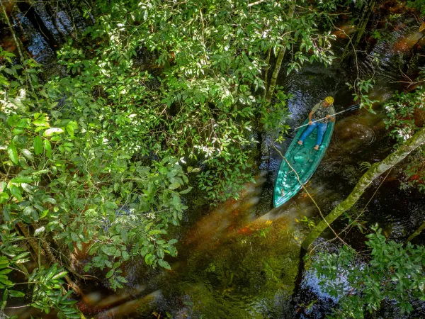 A person in a canoe on a narrow river surrounded by dense green forest