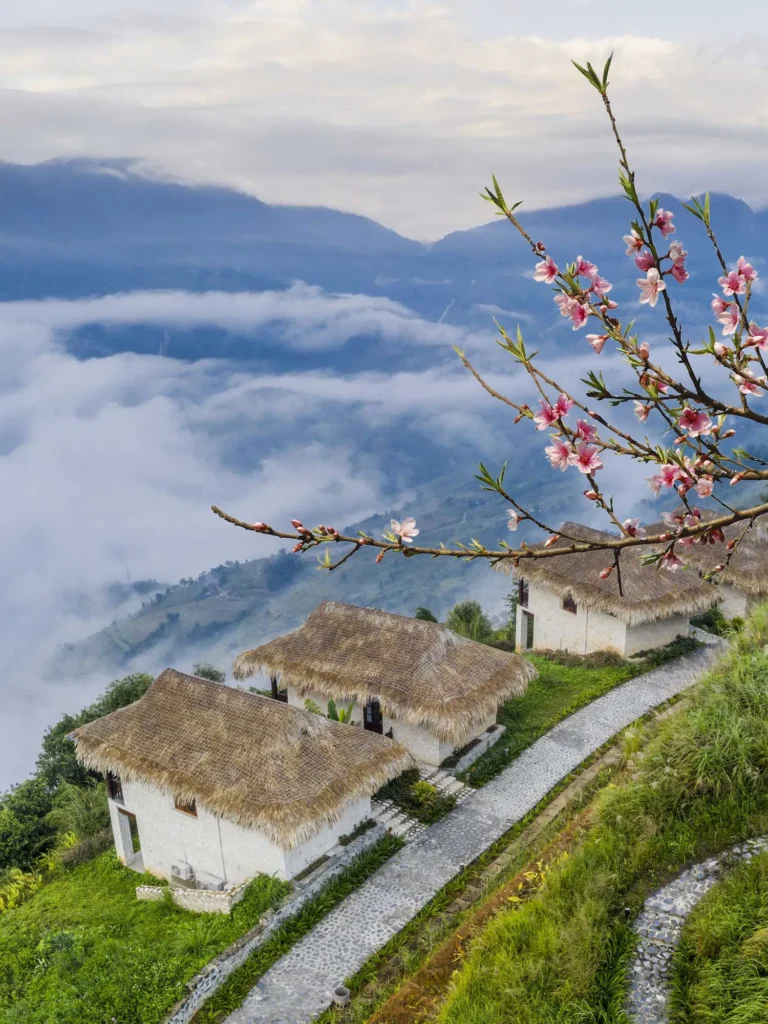 Thatched cottages on a misty mountainside with blooming pink blossoms in the foreground