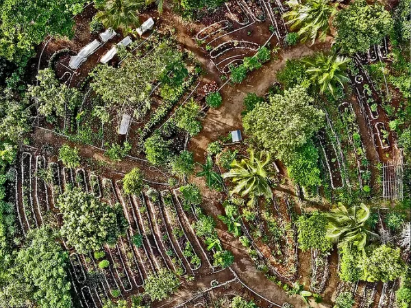 farm