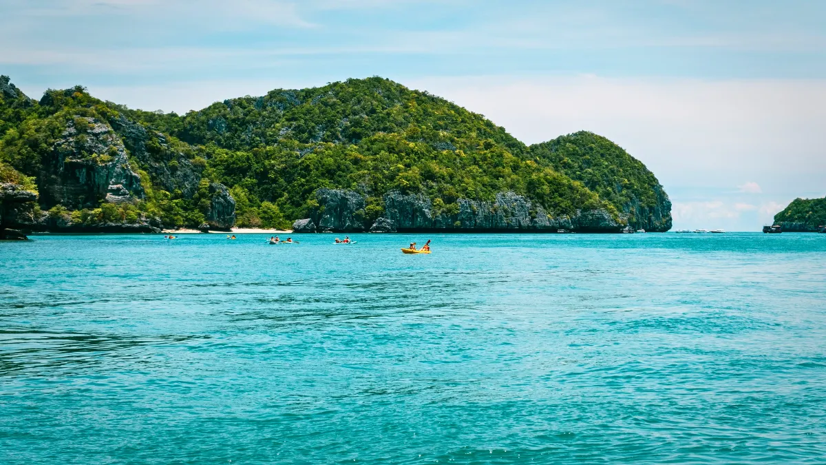 Kayaks on turquoise water near a lush tropical island coastline