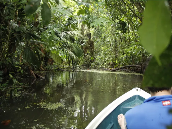 Boat traveling through a narrow jungle river