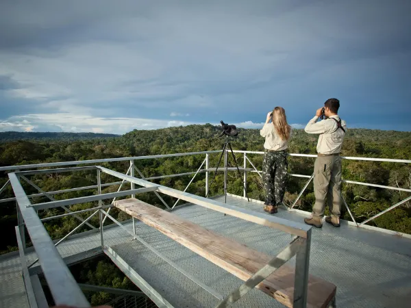 Two people looking through binoculars from a forest observation platform