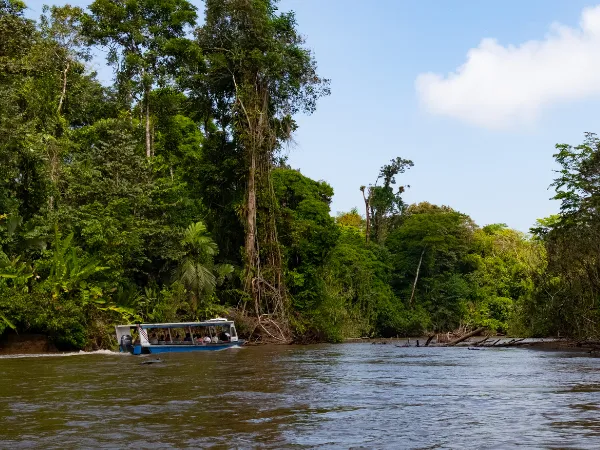Boat on a river beside dense tropical forest