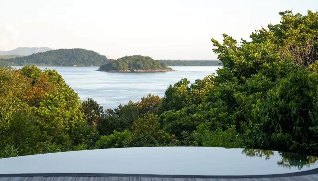 Tropical bay view with lush green trees and a small island in the water