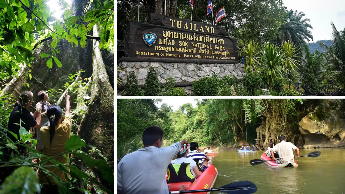 Khao Sok National Park sign and visitors exploring the rainforest by foot and kayak