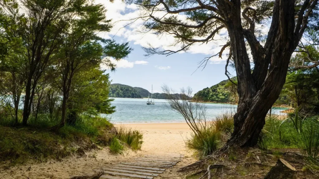 Abel Tasman Beach Scenery