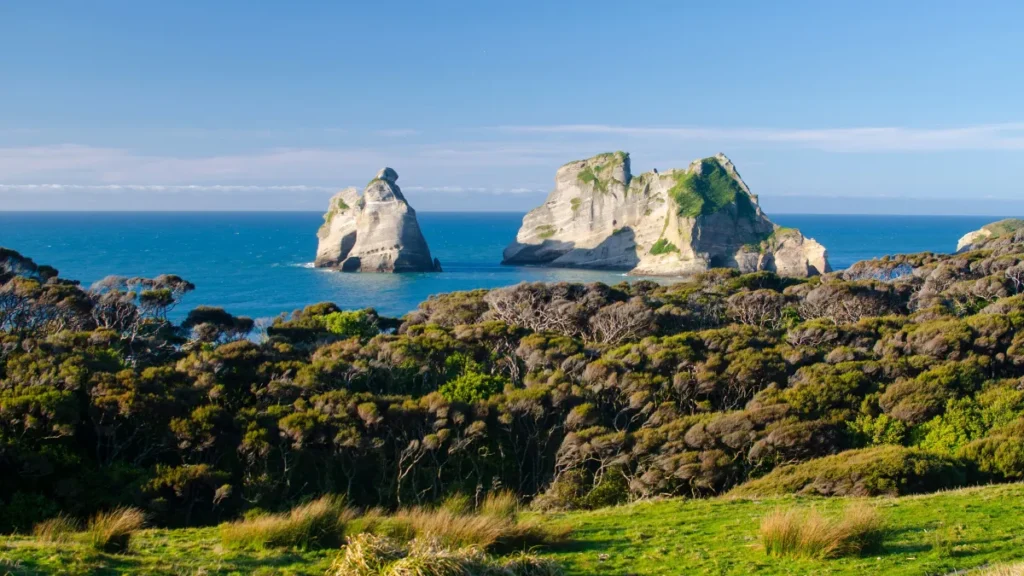 Cape Farewell
