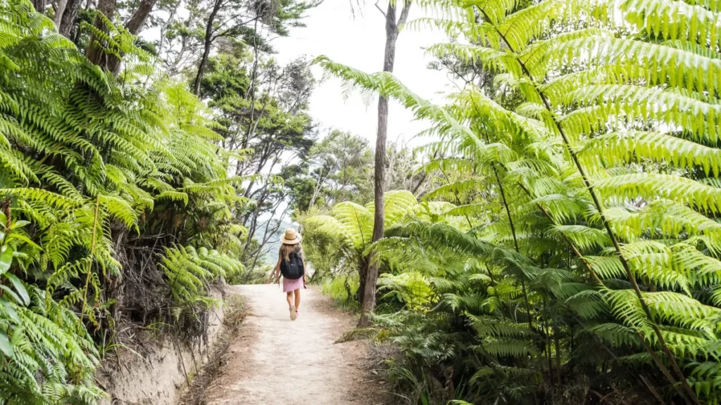 Day Walker on the Abel Tasman coast track