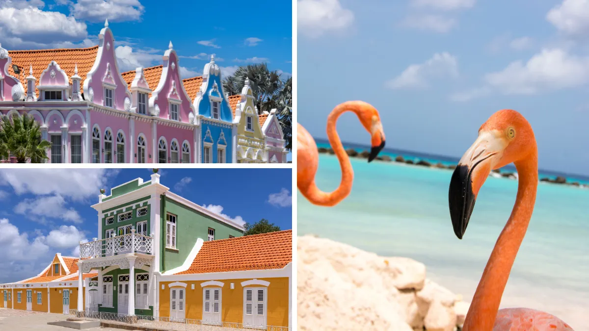 Dutch colonial buildings of Oranjestad Aruba and the Flamingos