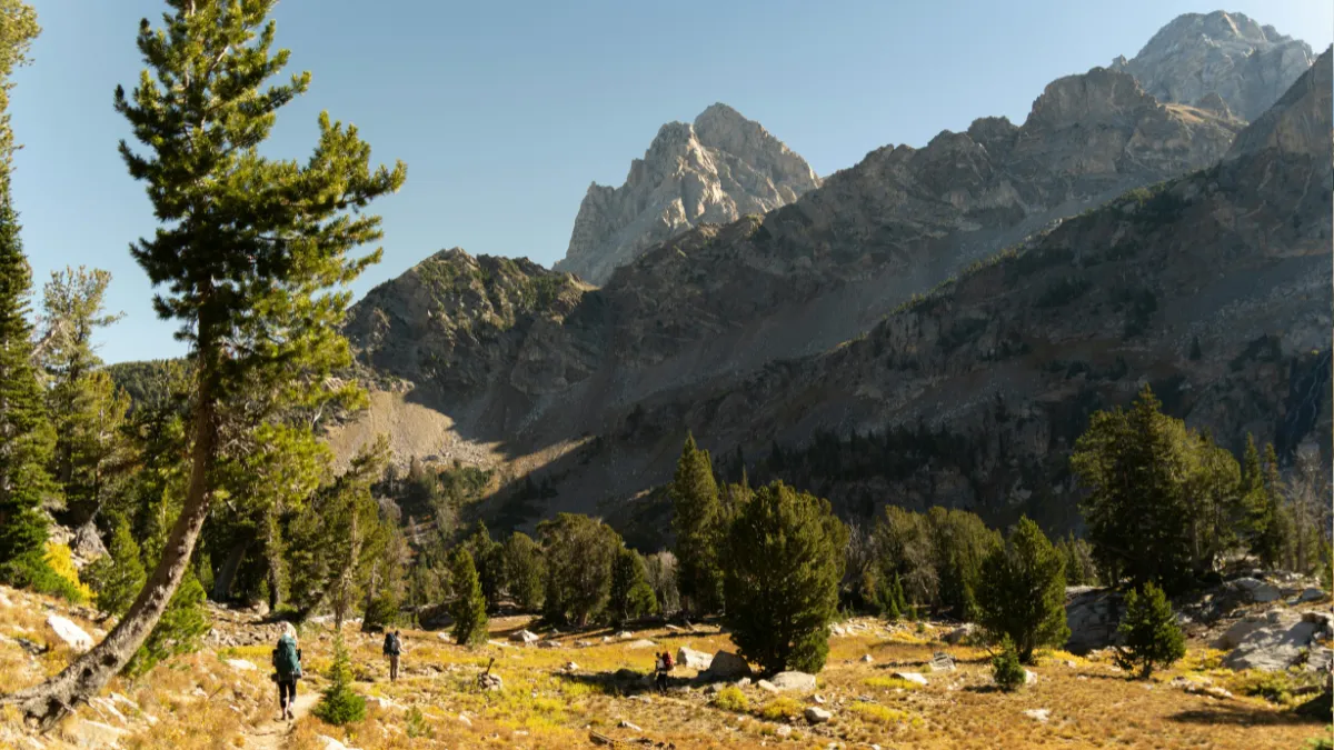 Hikers in a mountain valley with pine trees and rocky peaks under a clear sky