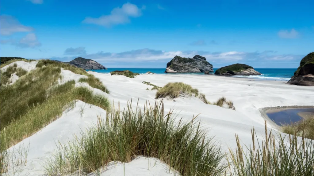 Farewell Spit Dunes