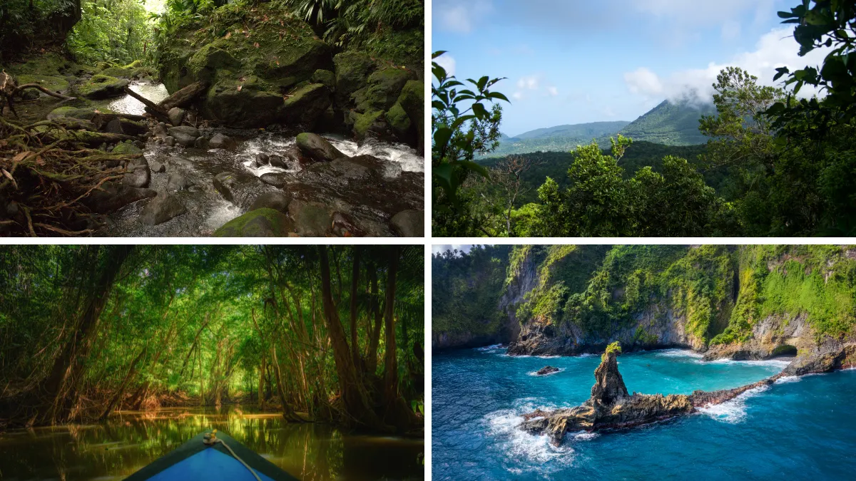 Hibiscus Falls (TL), Boiling Lake Hike (TR), Glassy Point (BR) and Dominica rainforest (BL)