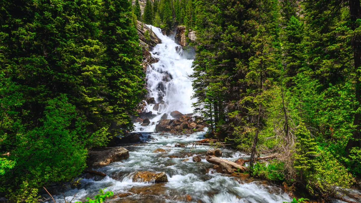 Hidden Falls Grand Teton National Park
