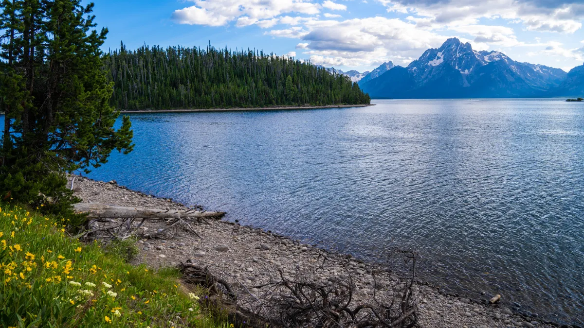 Jackson Lake from Colter Bay Grand Teton National Park