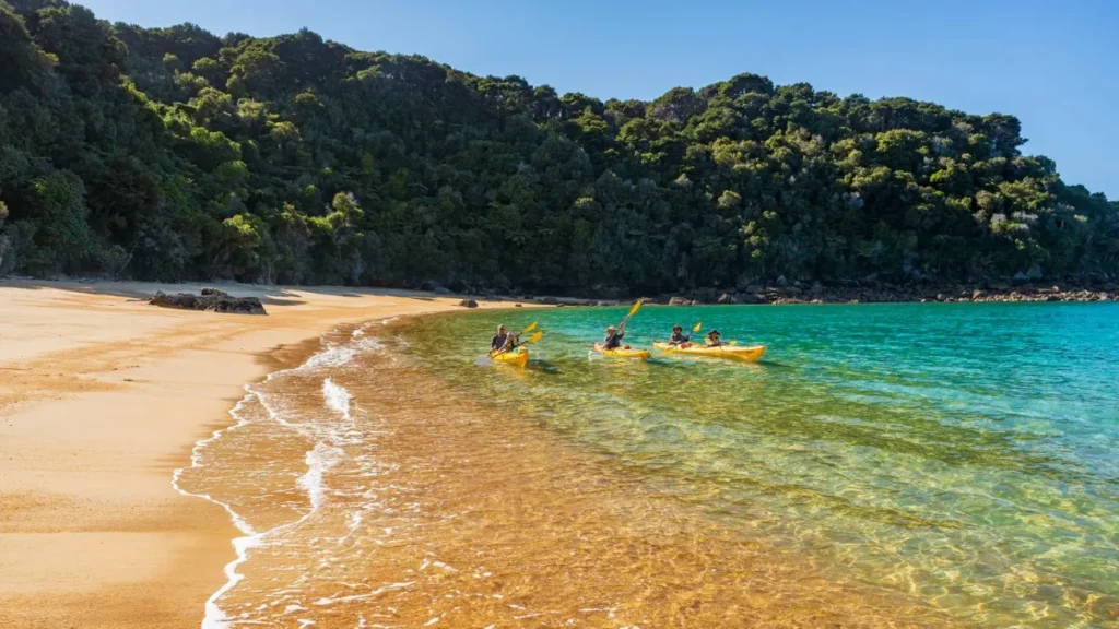 Kayaking in the Abel Tasman National Park