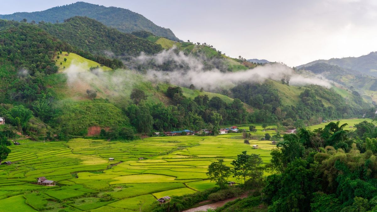 Misty rice fields in Nan province, one of Thailands least-visited northern provinces